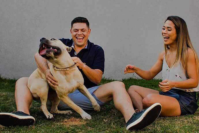 Casal tenta tirar fotos com cachorro e resultado é hilário - Metropolitana FM