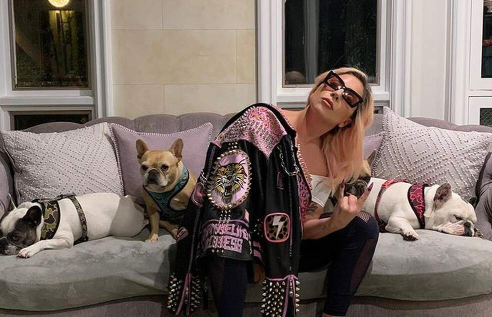 Lady Gaga recupera cachorros após oferecer recompensa milionária - Metropolitana FM