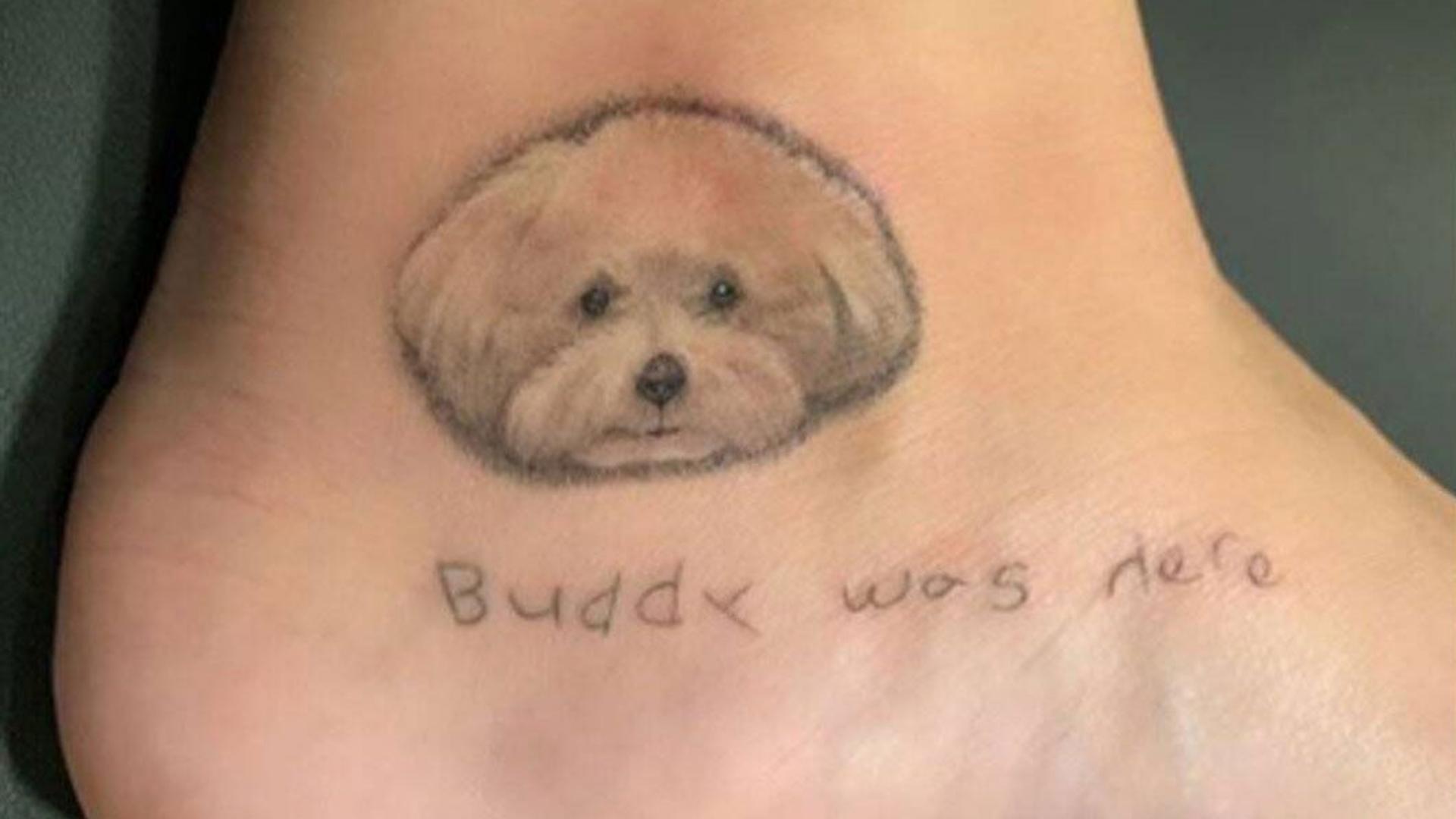 tatoo Buddy dog Demi Lovato