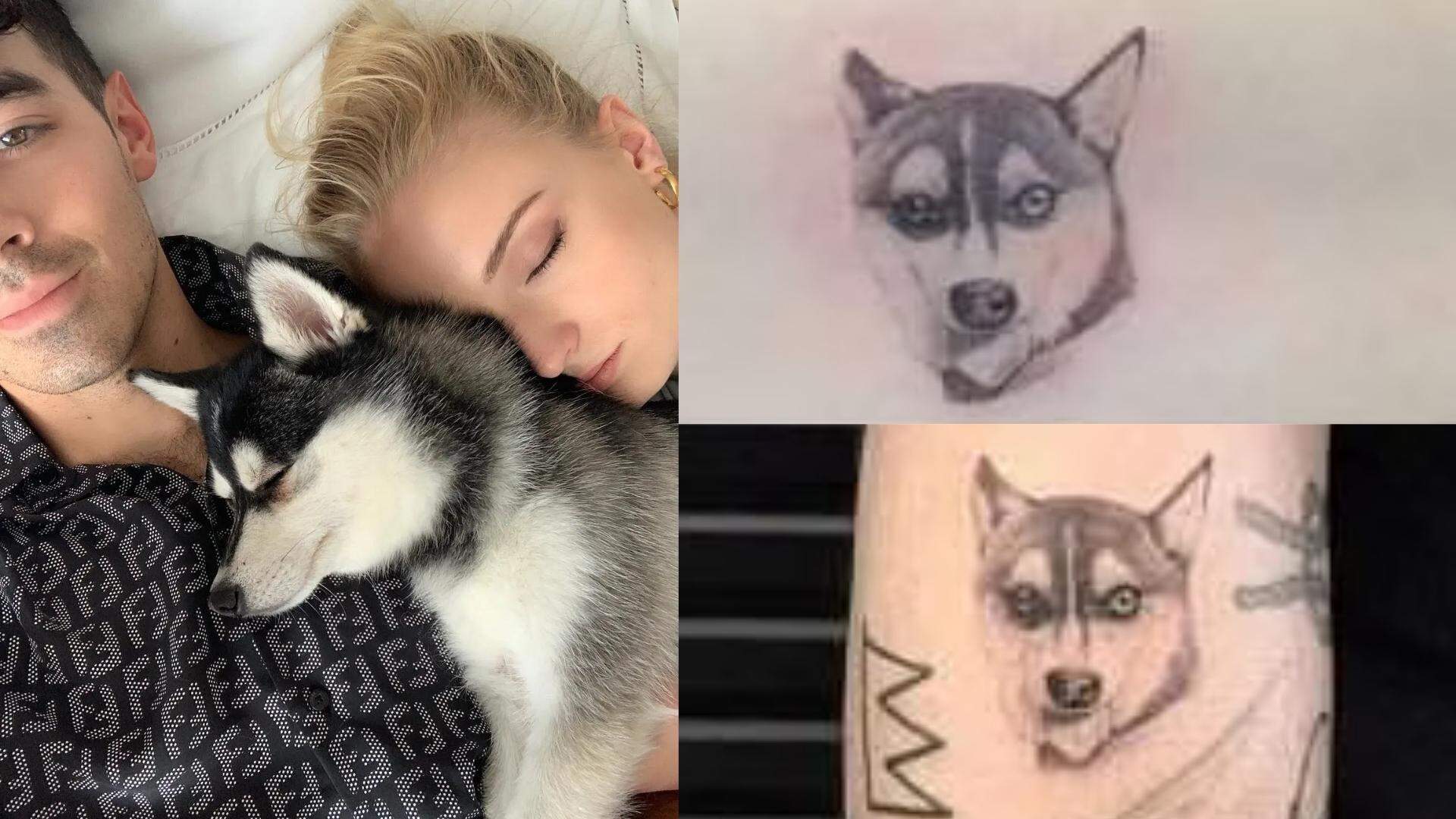 tattoo joe e sophie dog