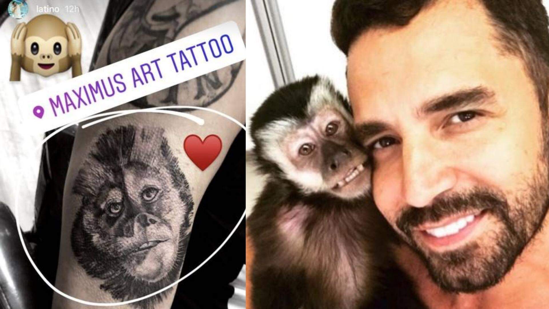 tattoo Latino animais