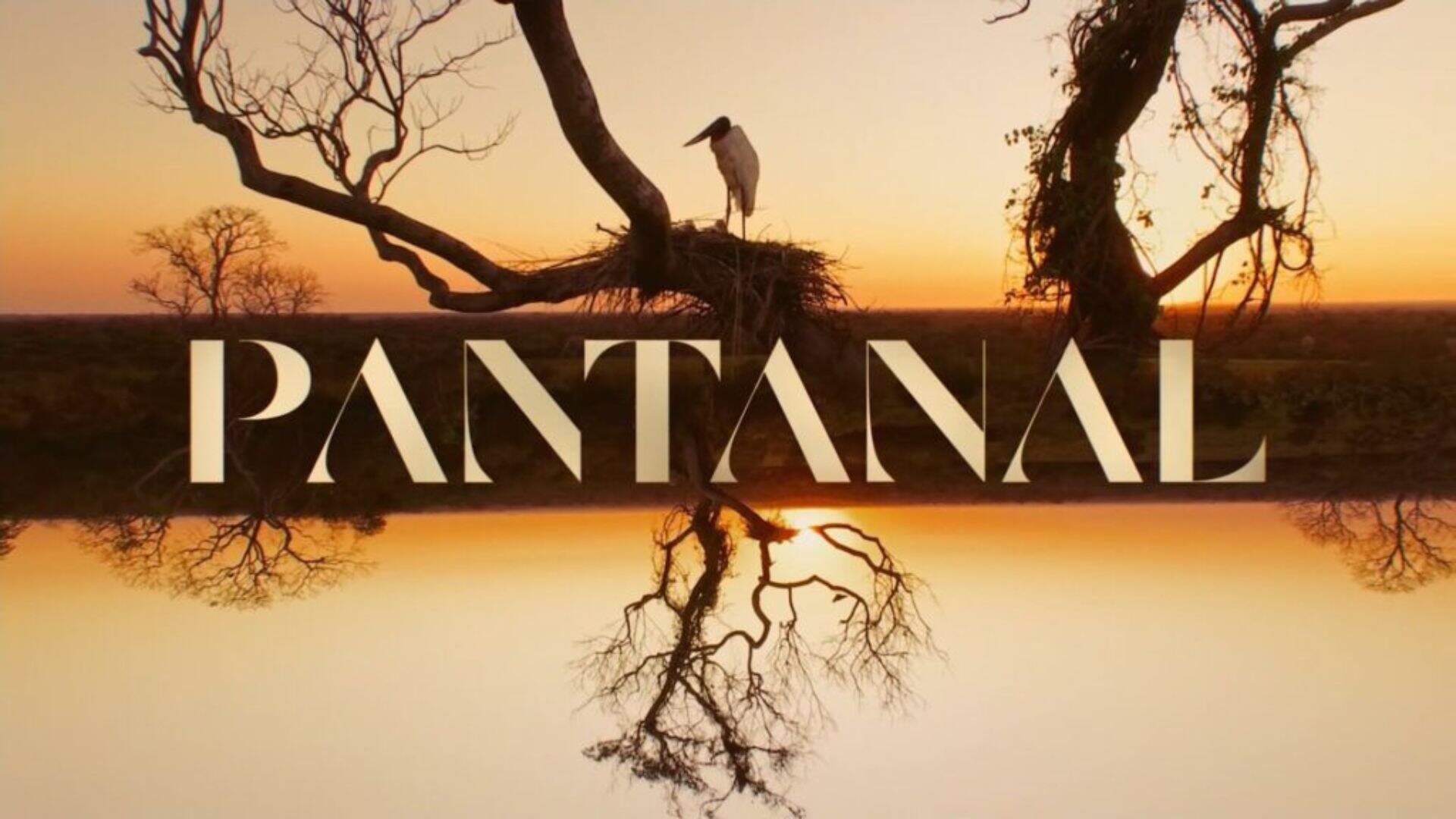 Por que Pantanal faz tanto sucesso? Conheça a história da novela