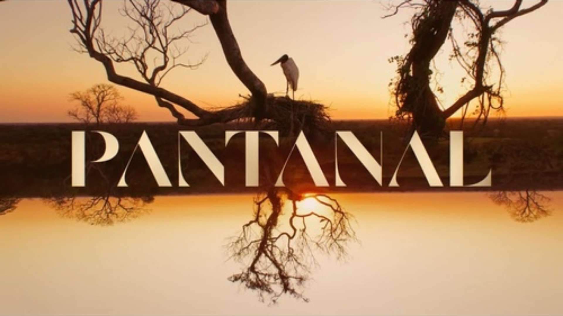 Gravações de Pantanal têm final antecipado, Globo se pronuncia e motivo choca os fãs - Metropolitana FM