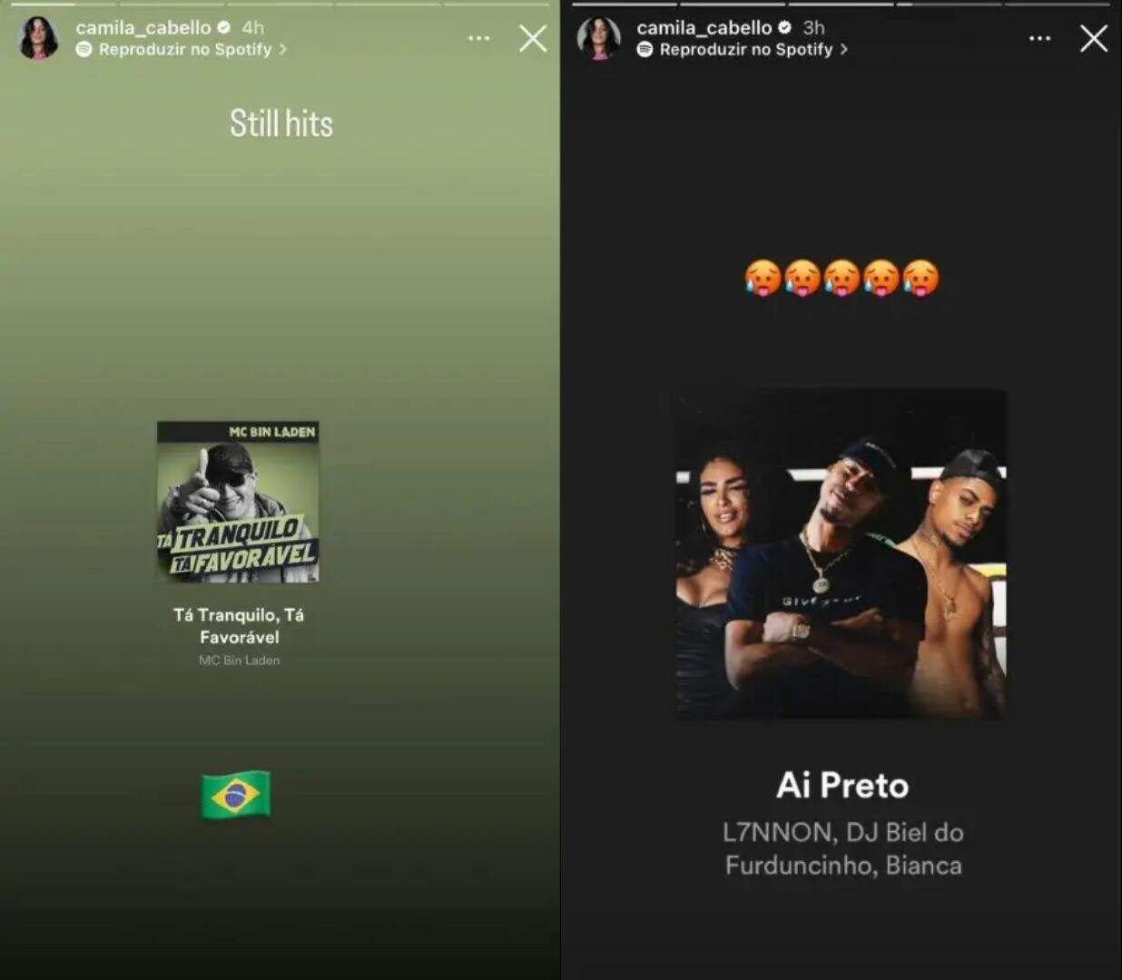 Esta não é a primeira vez que Camila Cabello compartilha seus gostos musicais em seu perfil no Instagram 