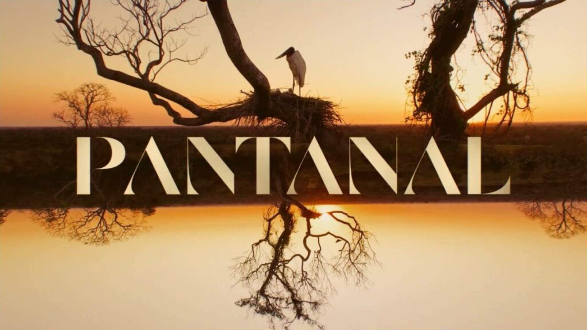Pantanal: Horário eleitoral faz TV Globo mudar horário de exibição da novela