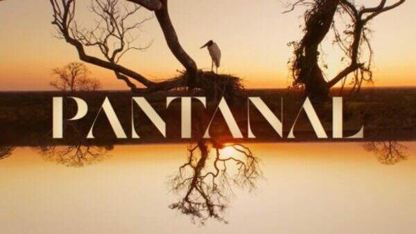 Pantanal: Confira as 5 cenas mais emocionantes do último capítulo!