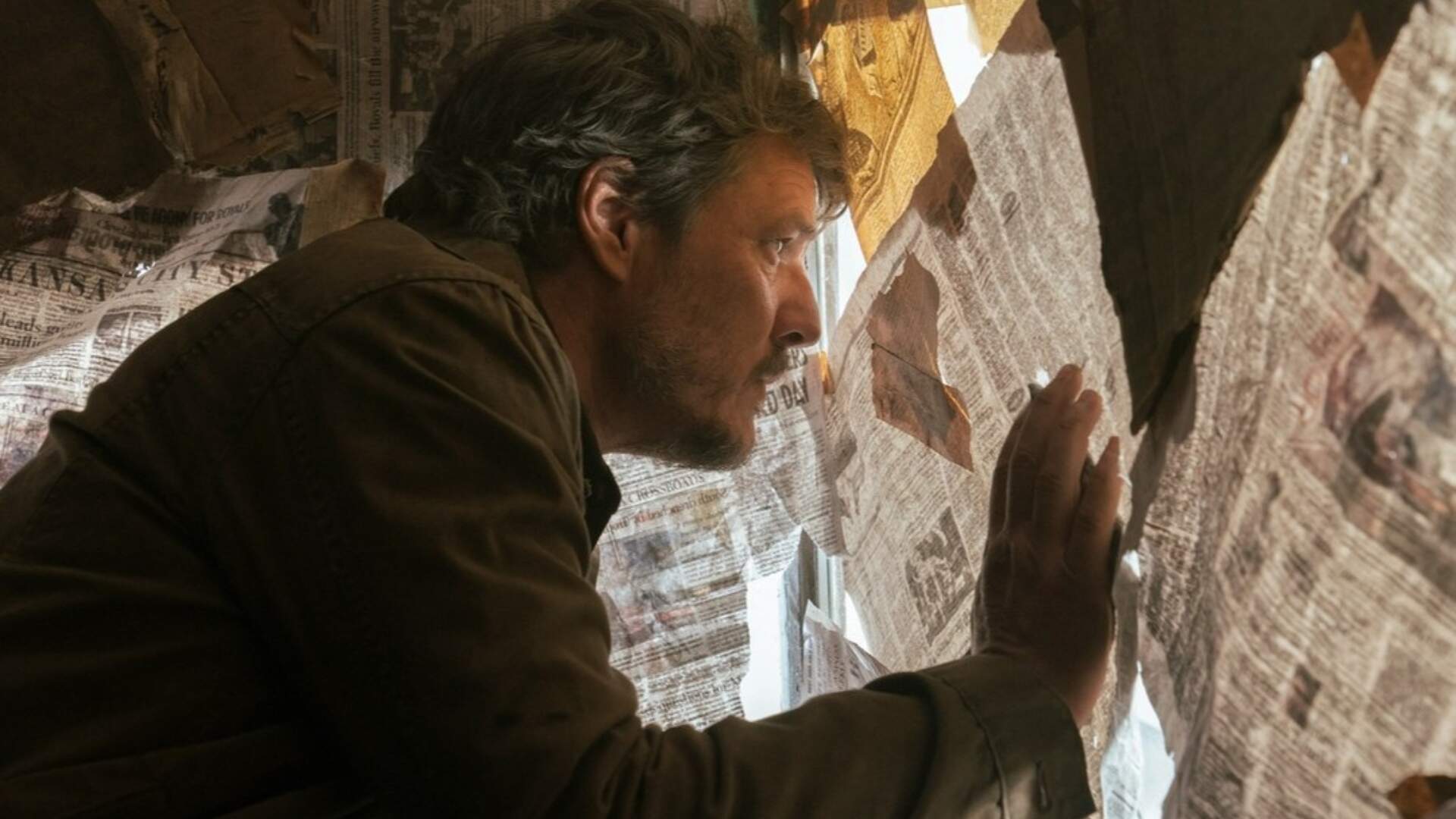 The Last of Us: Quando estreia e o que esperar da 2ª temporada -  Observatório do Cinema