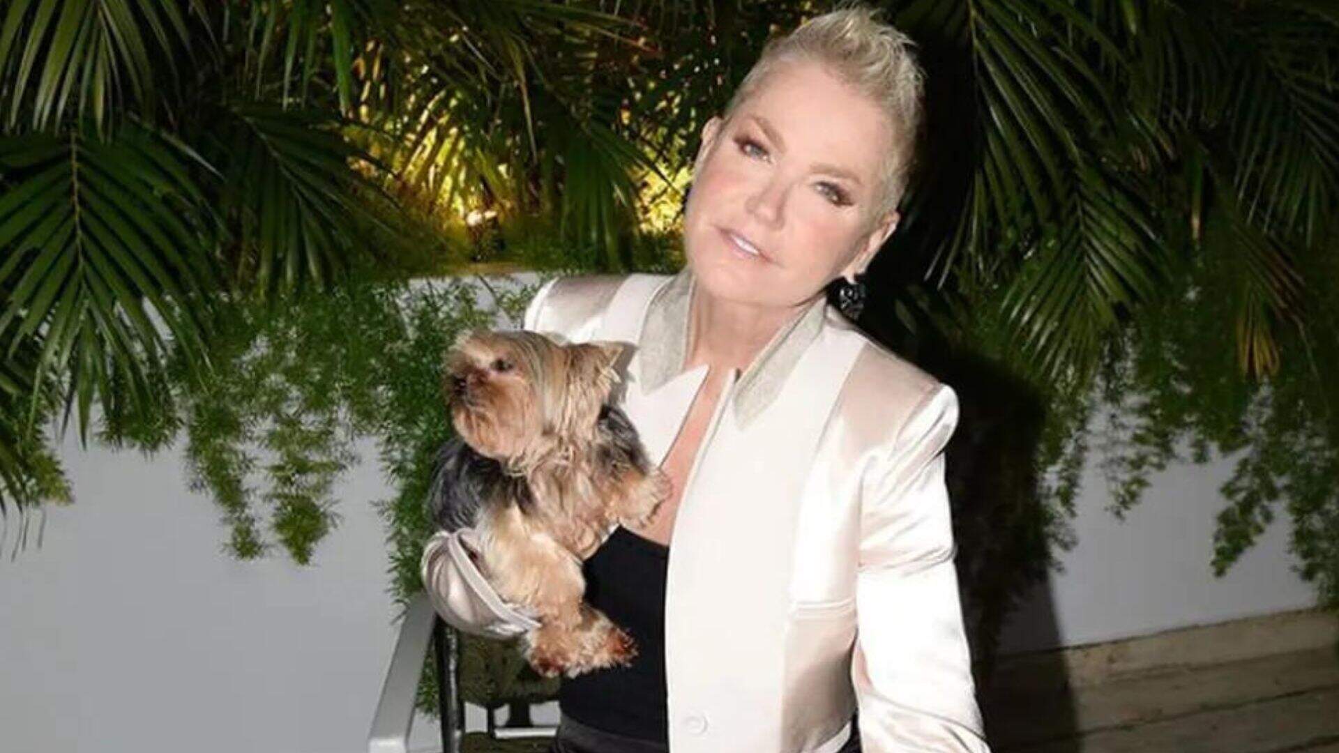 Xuxa aposta em look Fendi e cachorrinha a tiracolo para evento de estreia de documentário