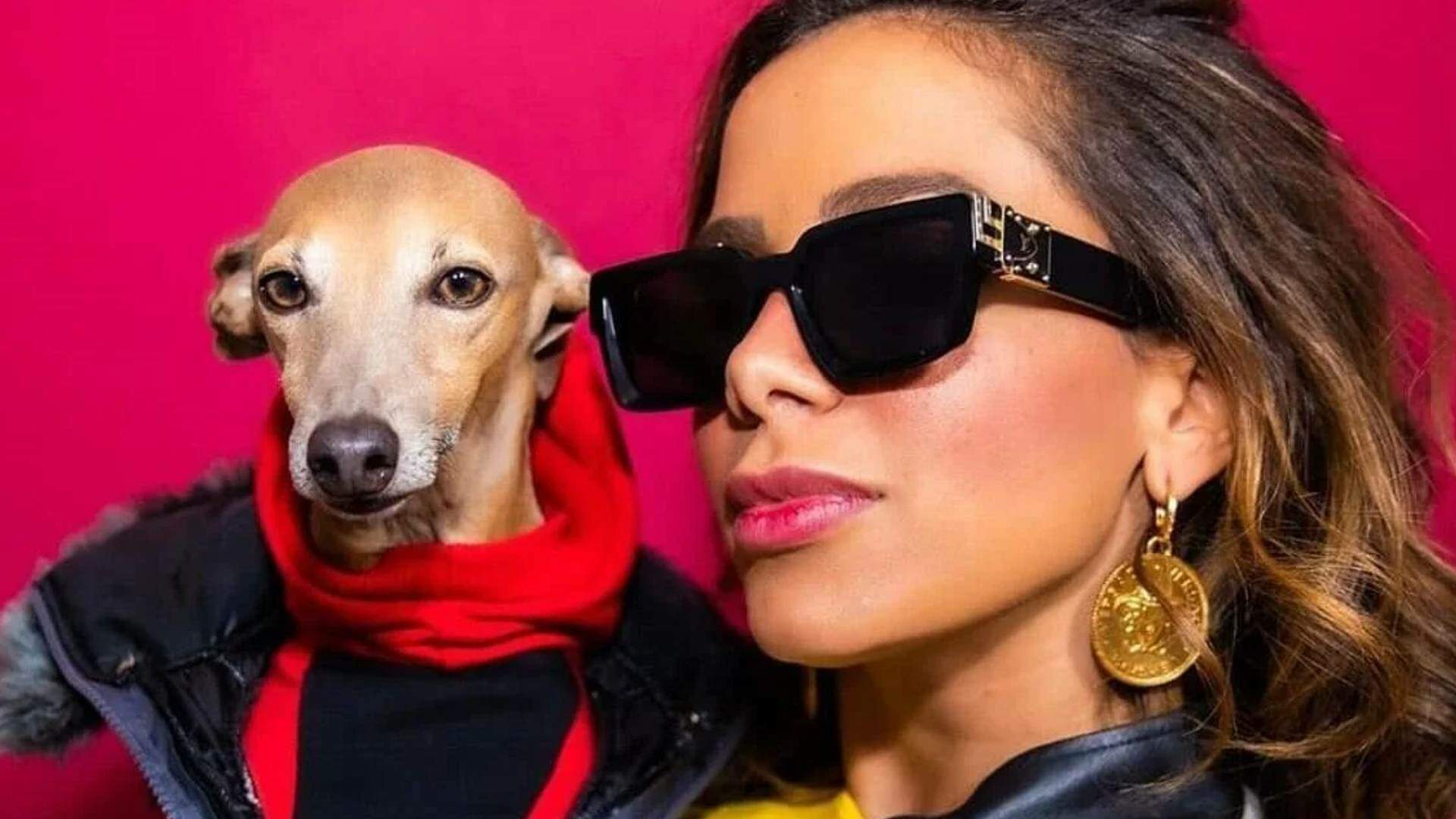 Plínio, cachorro da Anitta, tem reação emocionante após reencontro com cantora e momento fofo viraliza na web - Metropolitana FM
