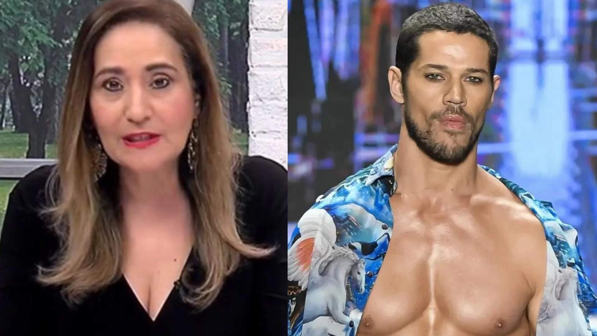 Durante o ‘A Tarde é Sua’, Sônia Abrão detona José Loreto após polêmica envolvendo ex-BBBs