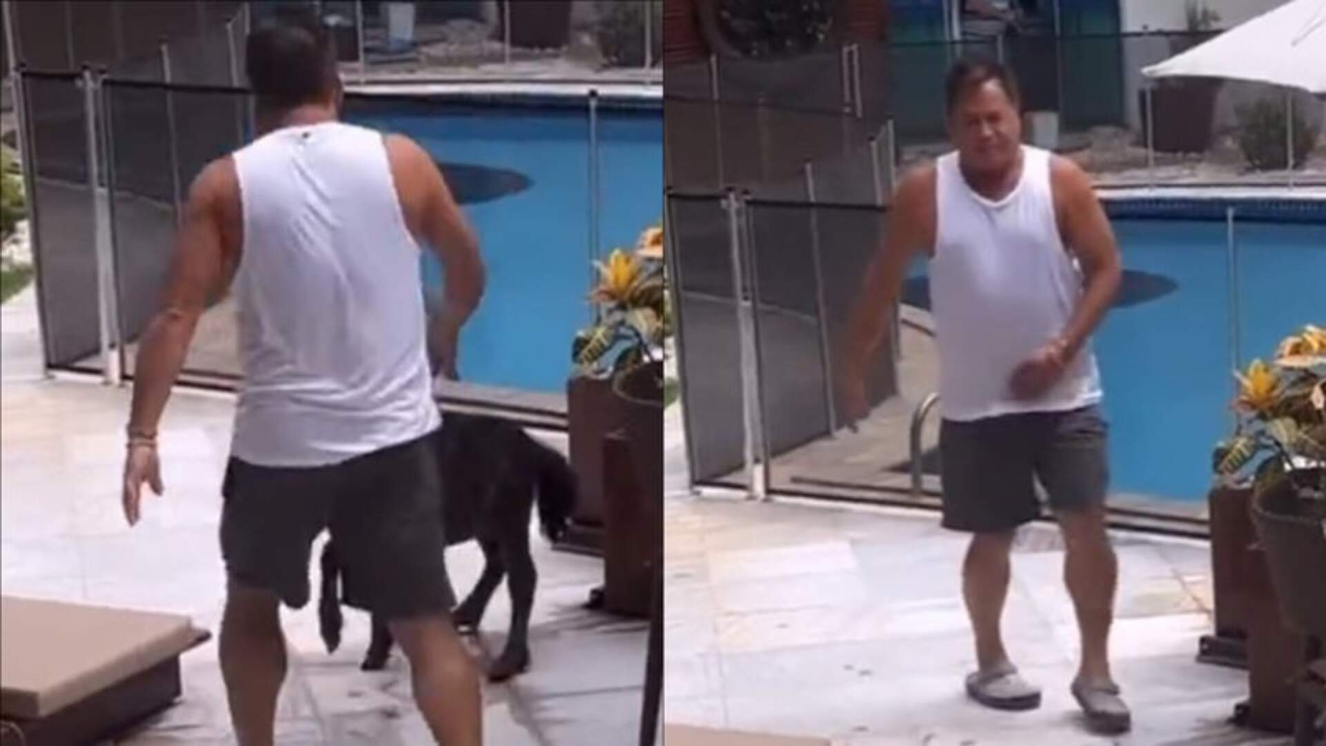 Cantor Leonardo é flagrado chutando animal de estimação da neta e internautas fazem acusação grave - Metropolitana FM
