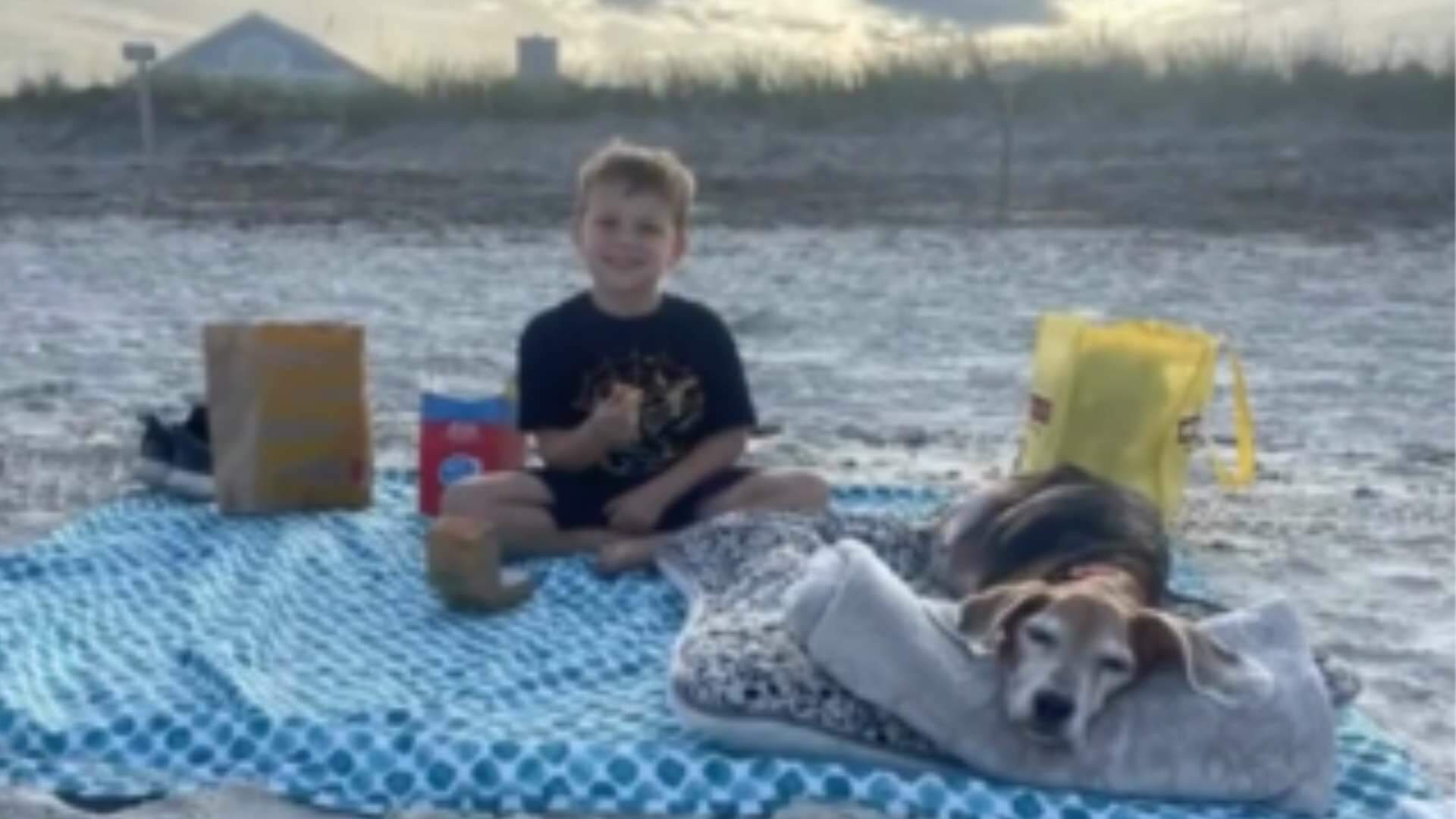 Família faz passeio inusitado com cãozinho em seu último dia de vida e arranca lágrimas dos internautas - Metropolitana FM