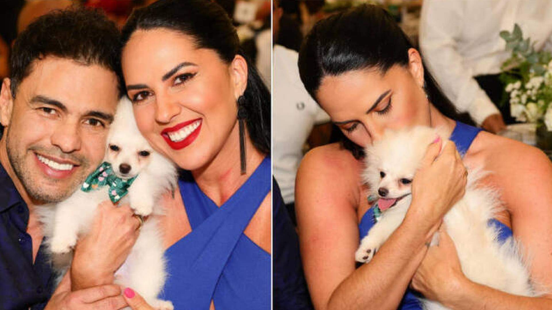 Graciele Lacerda é detonada na web após fazer lance caríssimo por cãozinho em leilão de Zezé Di Camargo - Metropolitana FM
