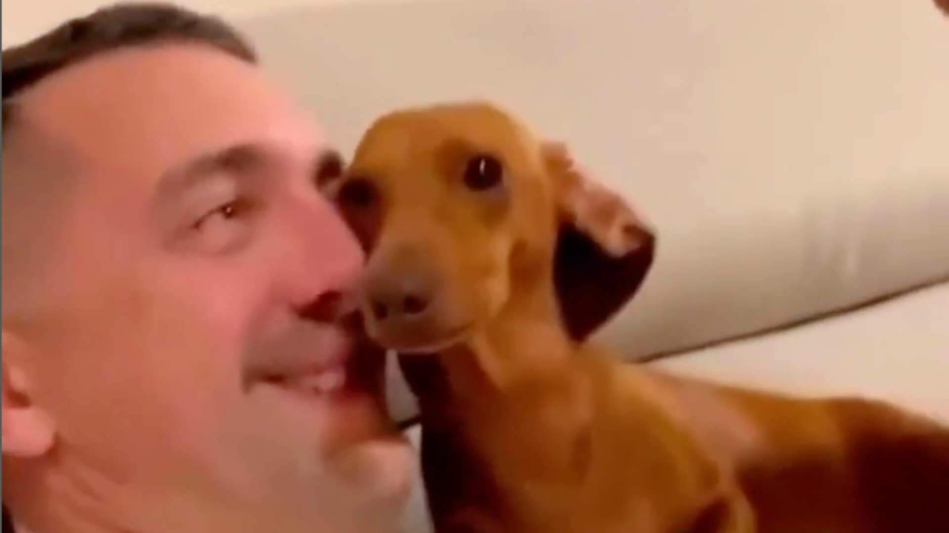 Ciumento ao extremo! Cachorrinho não deixa mulher beijar o namorado e toma atitude chocante - Metropolitana FM