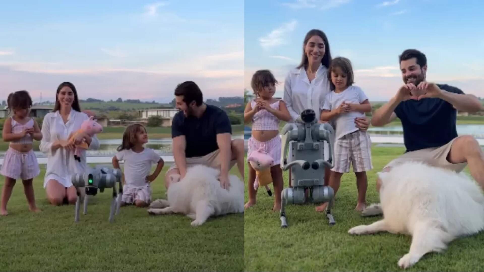 Alok “adota” cachorro-robô como novo membro da família e coleciona críticas nas redes sociais