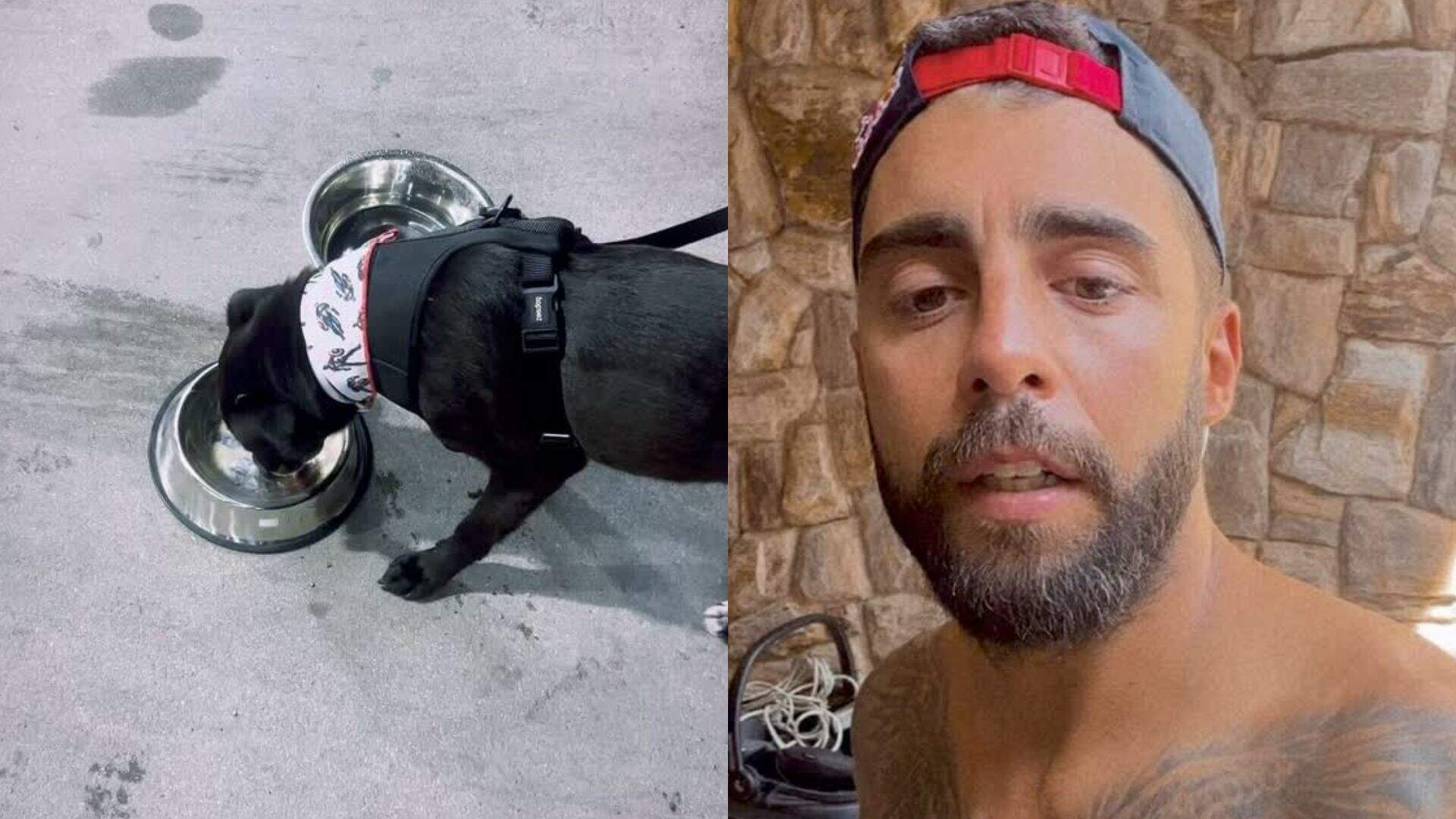 Pedro Scooby mostra nas redes sociais como está cachorro que adotou no Rio Grande do Sul