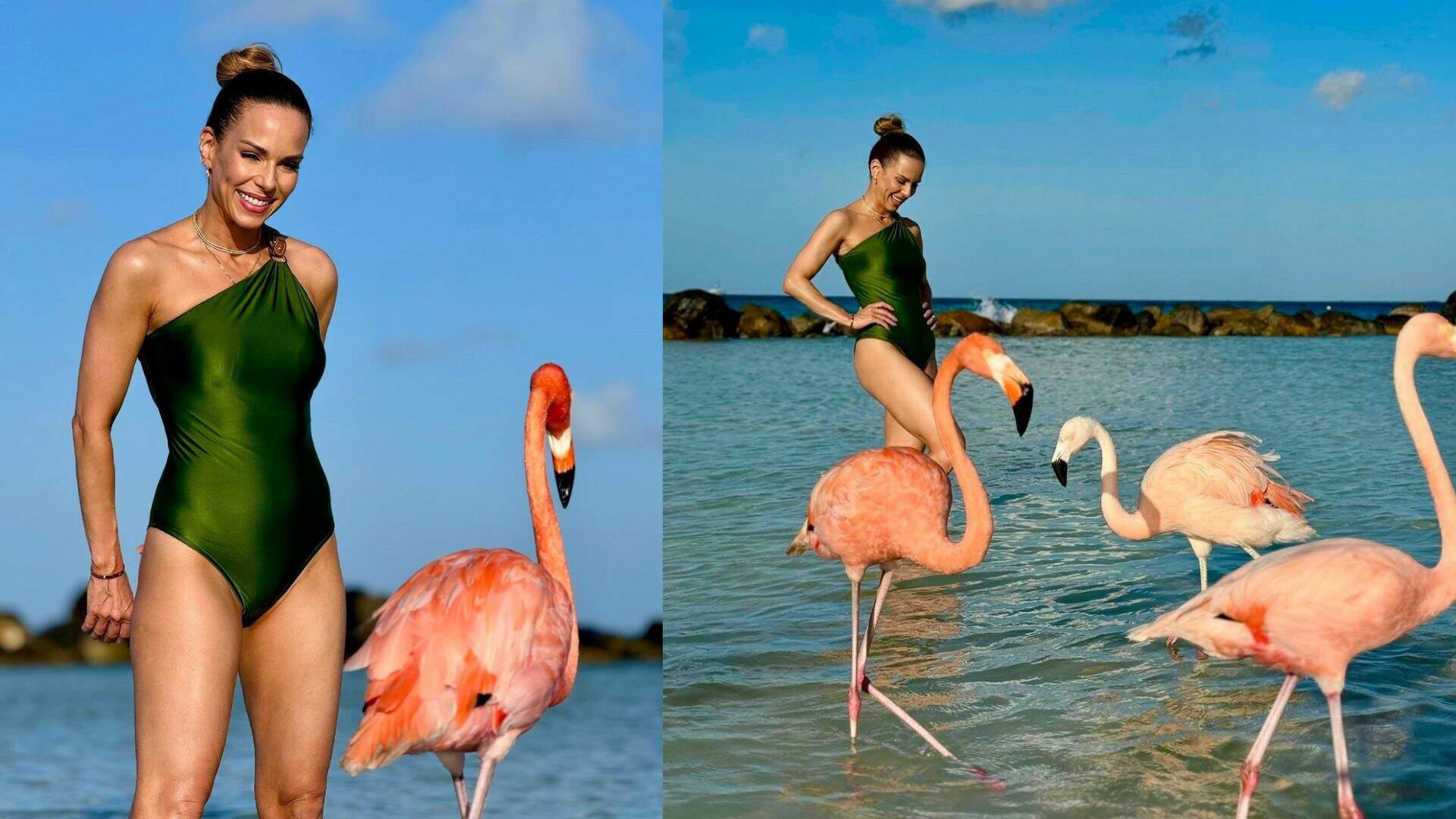 Ana Furtado elege maiô de um ombro só e posa com flamingos em ilha de Aruba