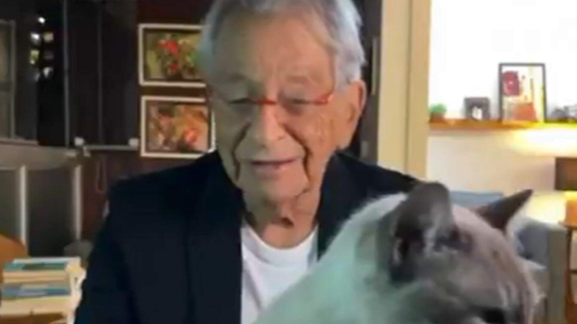 Gatinha de jornalista invade transmissão ao vivo e derruba câmera