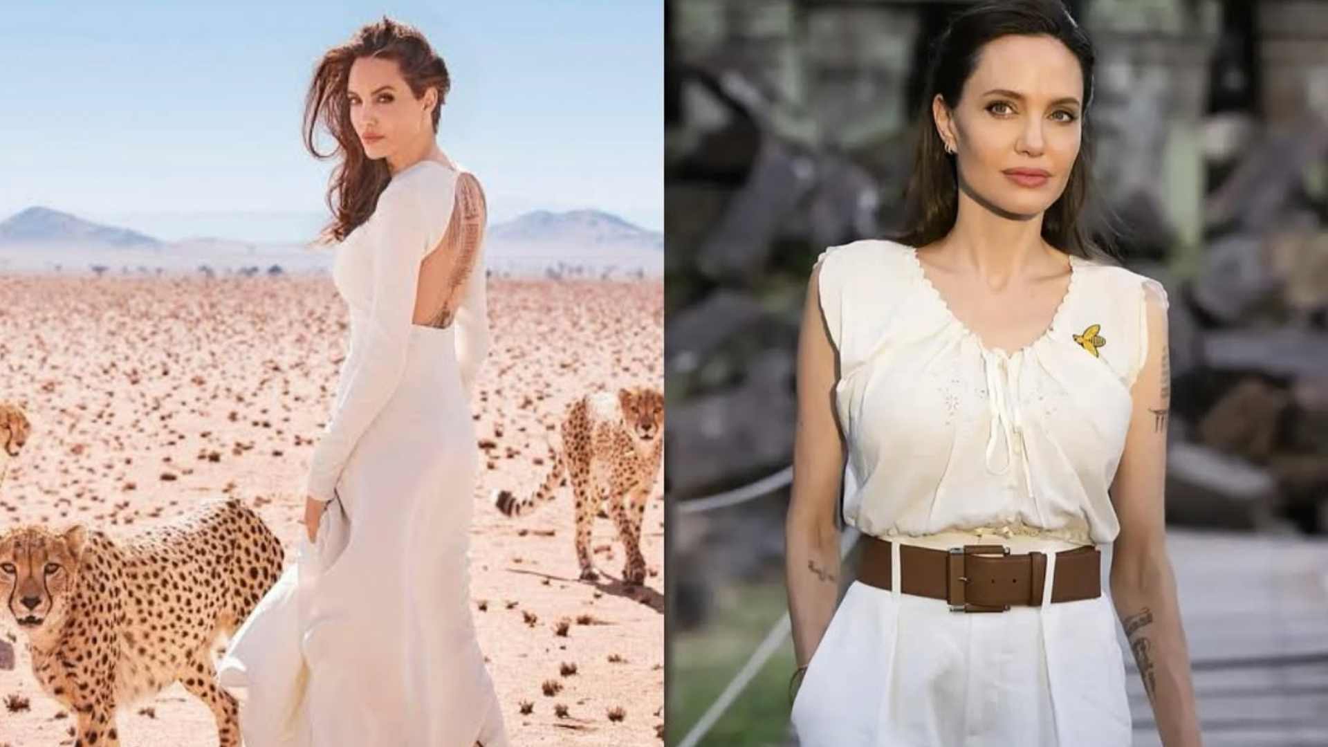 Angelina Jolie revela compra de 60 mil hectares no Camboja em homenagem ao filho Maddox