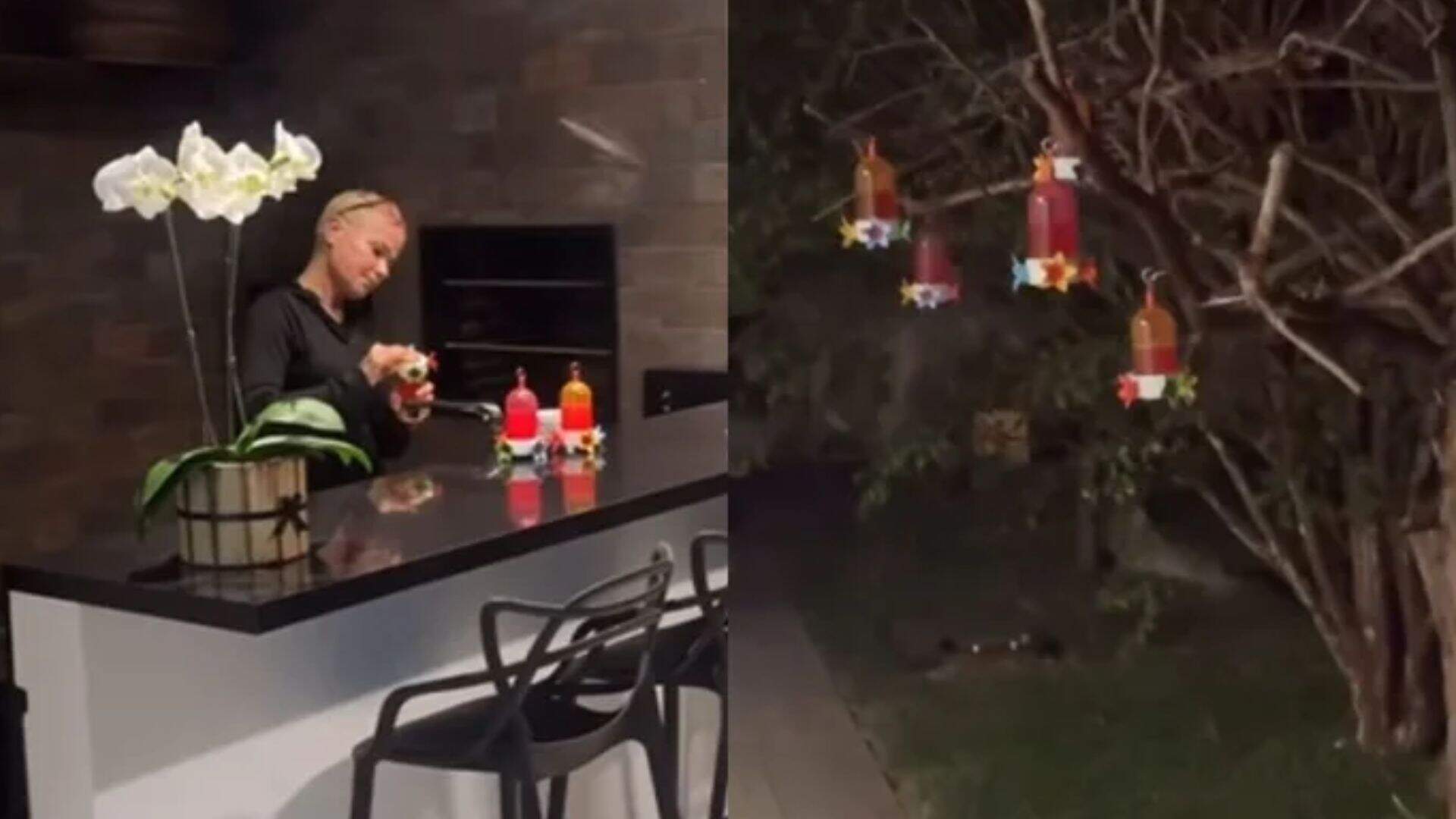 Xuxa Meneghel impressiona ao surgir cuidando de morcegos em casa
