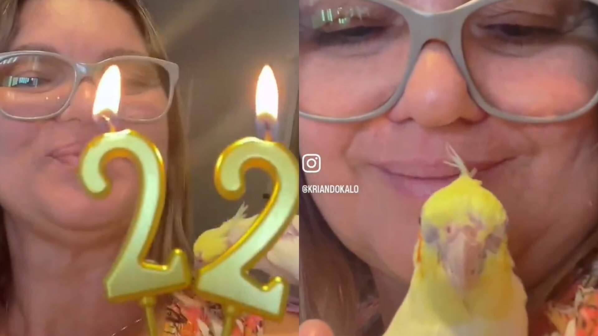 Mulher compartilha a comemoração de 22 anos de sua calopsita
